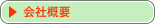 ЊTv